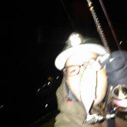 アジほんまアジの巻